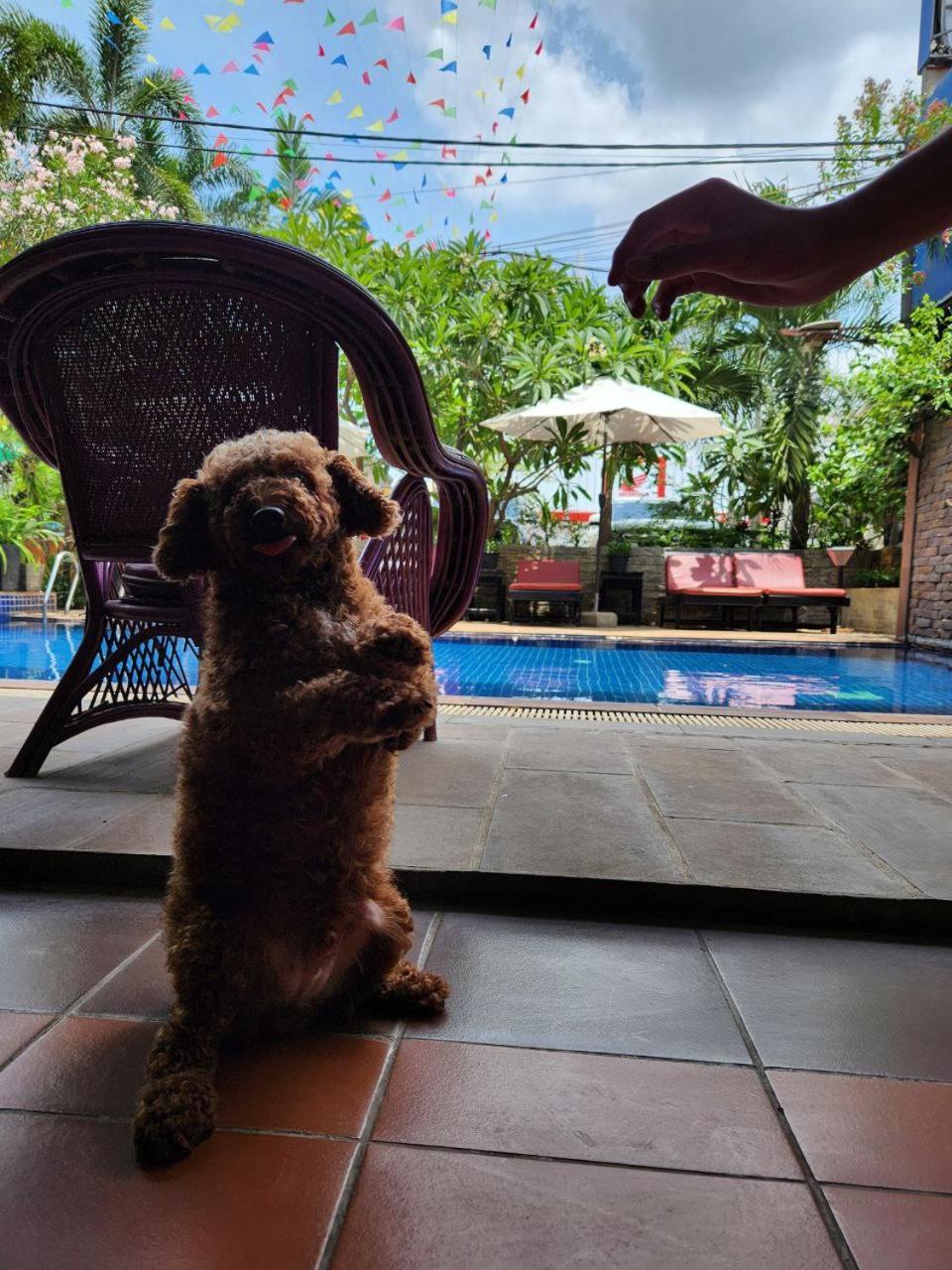 Jasmine Lodge Siem Reap Eksteriør bilde