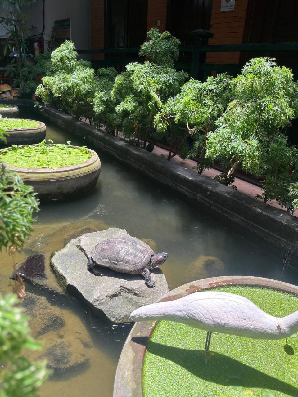 Jasmine Lodge Siem Reap Eksteriør bilde